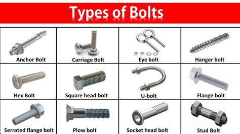 The 15 Best Bolt